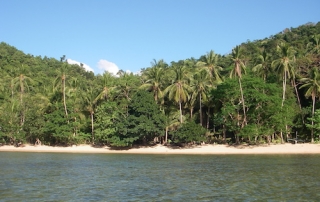 Bernardo Forest Lodge private beach seen from the sea