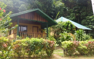 Bernardo Forest Lodge - Cottages