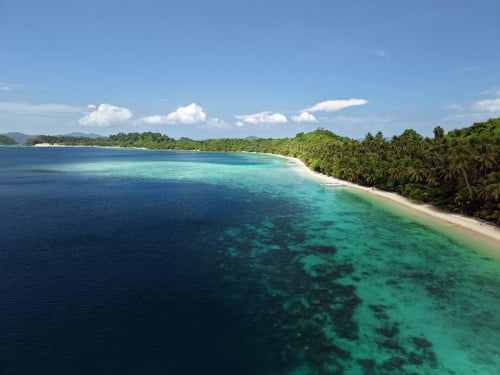 Aerial view of a long palm-covered island ending in a white sand spit beside deep blue water, Palawan