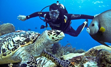 Discover Scuba Diving in El Nido: An Underwater World Full of Wonders 