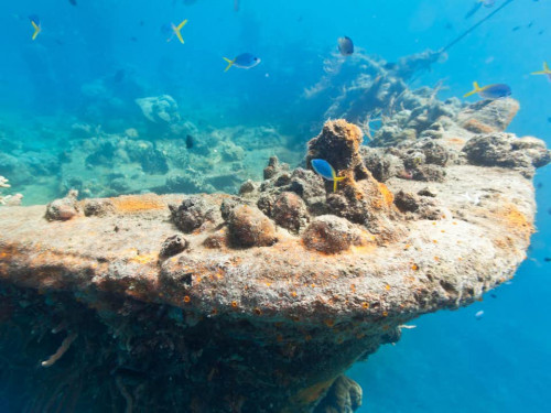 East Tangat Gunboat – Reefs & Wrecks Adventure Tour in Coron, Palawan