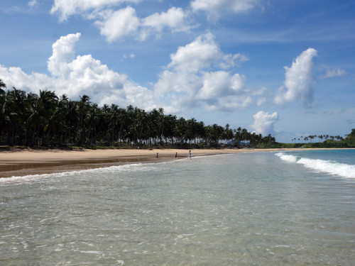 El Nido Tour E - Nacpan Beach