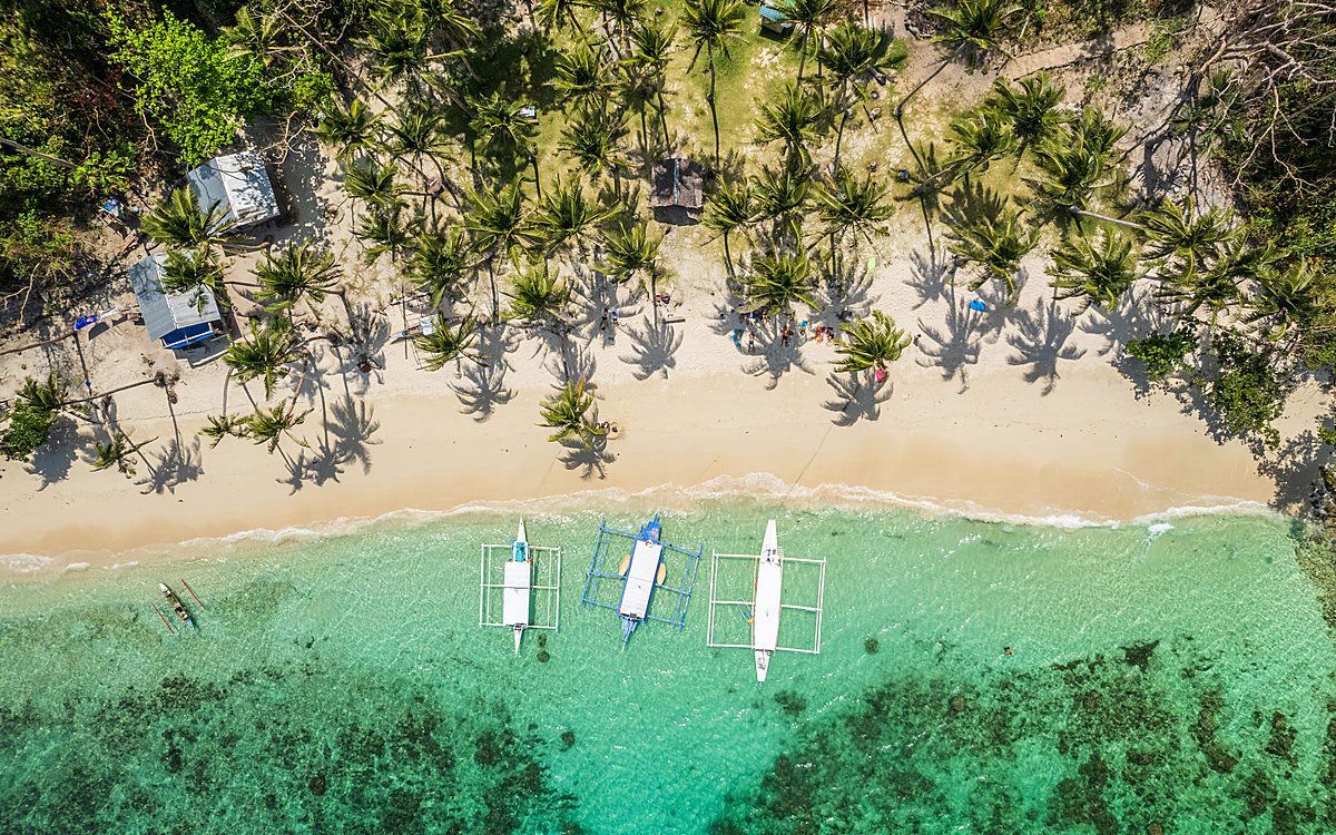 Expedition from Port Barton to El Nido – Ultimate Adventure Tour Schildkröten beobachten auf einer Bootsexpedition von El Nido nach Port Barton