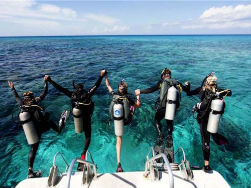 Fun Dives - Daily Trip Package - Online Booking