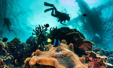 Fun Dives in El Nido: Discover the Daily, Night and Sunrise Fun Dives!