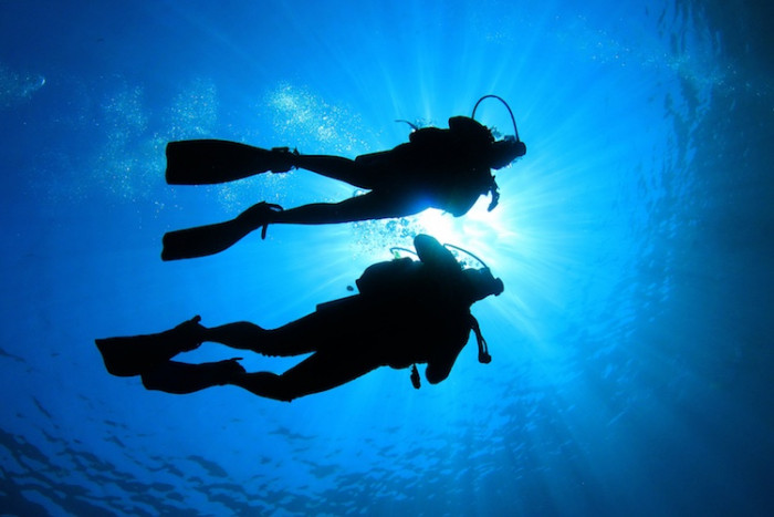 Get Your PADI Open Water Diver Certification in El Nido, Palawan!