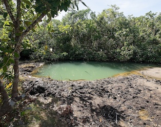 The Makinit Hot Springs in El Nido, Palawan