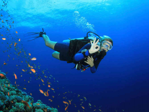 PADI Open Water Diver Course - Learn how to dive in El Nido!