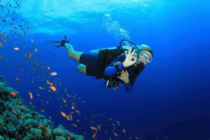 PADI Open Water Diver Course - Learn how to dive in El Nido!