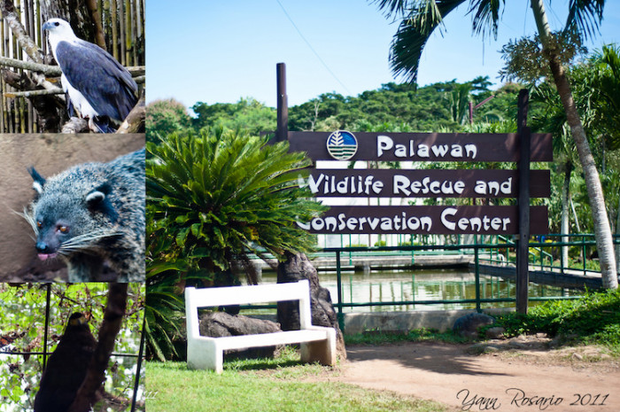 Palawan Wildlife and Rescue Conservation Center - City Tour in Puerto Princesa