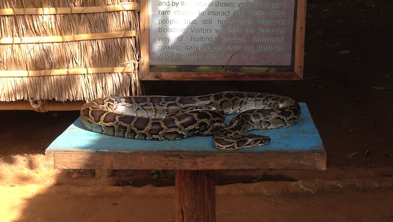 Tribal Village Pets: Snakes!