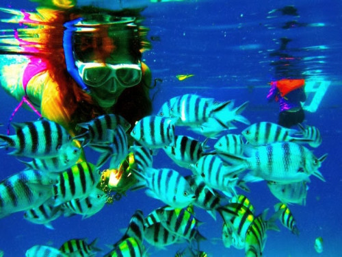 Combo Tour A and B - El Nido Island Hopping